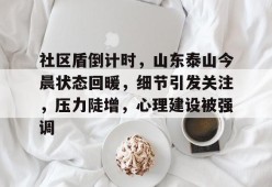 天博体育社区盾倒计时，山东泰山今晨状态回暖，细节引发关注，压力陡增，心理建设被强调的简单介绍