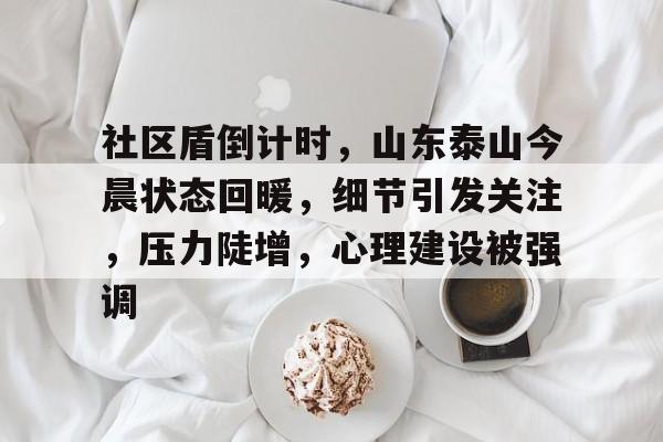 社区盾倒计时，山东泰山今晨状态回暖，细节引发关注，压力陡增，心理建设被强调的简单介绍
